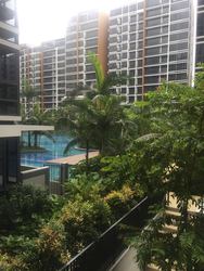 Coco Palms (D18), Condominium #167494672